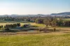 261 Paper Forest Road, Mangoplah, NSW 2652-Image