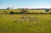 261 Paper Forest Road, Mangoplah, NSW 2652-Image