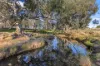 261 Paper Forest Road, Mangoplah, NSW 2652-Image