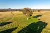 261 Paper Forest Road, Mangoplah, NSW 2652-Image