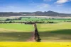 265 Old Boundary Road, Anakie, Vic 3213-Image
