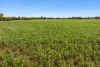 265 Old Boundary Road, Anakie, Vic 3213-Image