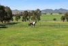 265 Old Boundary Road, Anakie, Vic 3213-Image