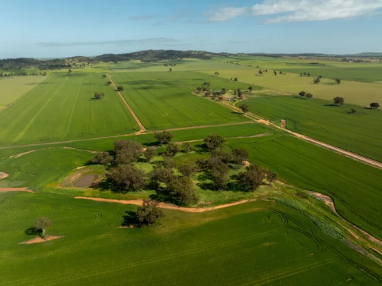 267 Gap Hall-Coolamon Road, Downside, NSW 2650