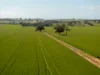 267 Gap Hall-Coolamon Road, Downside, NSW 2650-Image