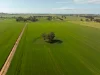 267 Gap Hall-Coolamon Road, Downside, NSW 2650-Image