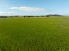 267 Gap Hall-Coolamon Road, Downside, NSW 2650-Image