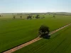 267 Gap Hall-Coolamon Road, Downside, NSW 2650-Image