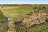 2696 Middle Arm Road, Roslyn, NSW 2580-Image