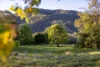 27 Riddles Brush Road, Moorland NSW 2443-Image