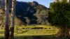 27 Riddles Brush Road, Moorland NSW 2443-Image