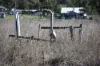 2759 LEYBURN CUNNINGHAM ROAD, Pratten, Qld 4370-Image