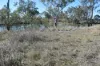 2759 LEYBURN CUNNINGHAM ROAD, Pratten, Qld 4370-Image