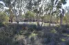 2759 LEYBURN CUNNINGHAM ROAD, Pratten, Qld 4370-Image