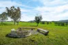 276 Currawang Road, Goulburn NSW 2580-Image