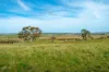 276 Currawang Road, Goulburn NSW 2580-Image