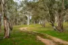 276 Currawang Road, Goulburn NSW 2580-Image