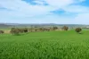 276 Currawang Road, Goulburn NSW 2580-Image