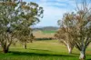276 Currawang Road, Goulburn NSW 2580-Image