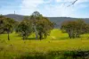276 Currawang Road, Goulburn NSW 2580-Image