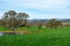 276 Currawang Road, Goulburn NSW 2580-Image