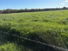 2796 Wangaratta-Yarrawonga Road, Peechelba, Vic 3678-Image