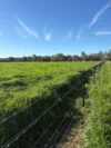 2796 Wangaratta-Yarrawonga Road, Peechelba, Vic 3678-Image