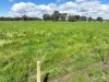 2796 Wangaratta-Yarrawonga Road, Peechelba, Vic 3678-Image