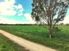 2796 Wangaratta-Yarrawonga Road, Peechelba, Vic 3678-Image