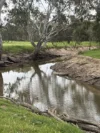 2796 Wangaratta-Yarrawonga Road, Peechelba, Vic 3678-Image