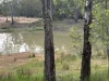 2796 Wangaratta-Yarrawonga Road, Peechelba, Vic 3678-Image