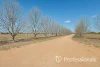 28 Brett Road, Euston, NSW 2737-Image