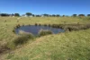 280 Clarkes Lane, North Shields, SA 5607-Image