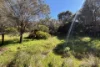 280 Clarkes Lane, North Shields, SA 5607-Image