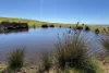 280 Clarkes Lane, North Shields, SA 5607-Image