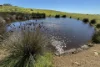 280 Clarkes Lane, North Shields, SA 5607-Image