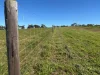 280 Clarkes Lane, North Shields, SA 5607-Image