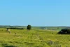 282 Childers Cove Road, Mepunga, Vic 3277-Image