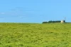 282 Childers Cove Road, Mepunga, Vic 3277-Image