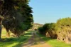 282 Childers Cove Road, Mepunga, Vic 3277-Image