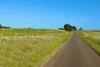 282 Childers Cove Road, Mepunga, Vic 3277-Image
