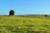 282 Childers Cove Road, Mepunga, Vic 3277-Image