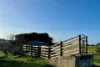 282 Childers Cove Road, Mepunga, Vic 3277-Image