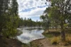 282 Staffords Road, Bloomsbury, Qld 4799