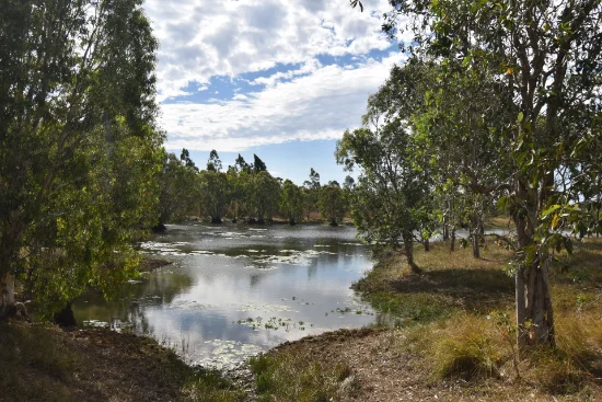 282 Staffords Road, Bloomsbury, Qld 4799
