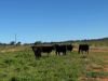 2823, Hermidale NSW 2831-Image