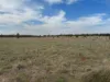 2823, Hermidale NSW 2831-Image