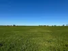 2823, Hermidale NSW 2831-Image