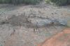 2823, Hermidale NSW 2831-Image