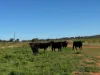 2823, Hermidale NSW 2831-Image